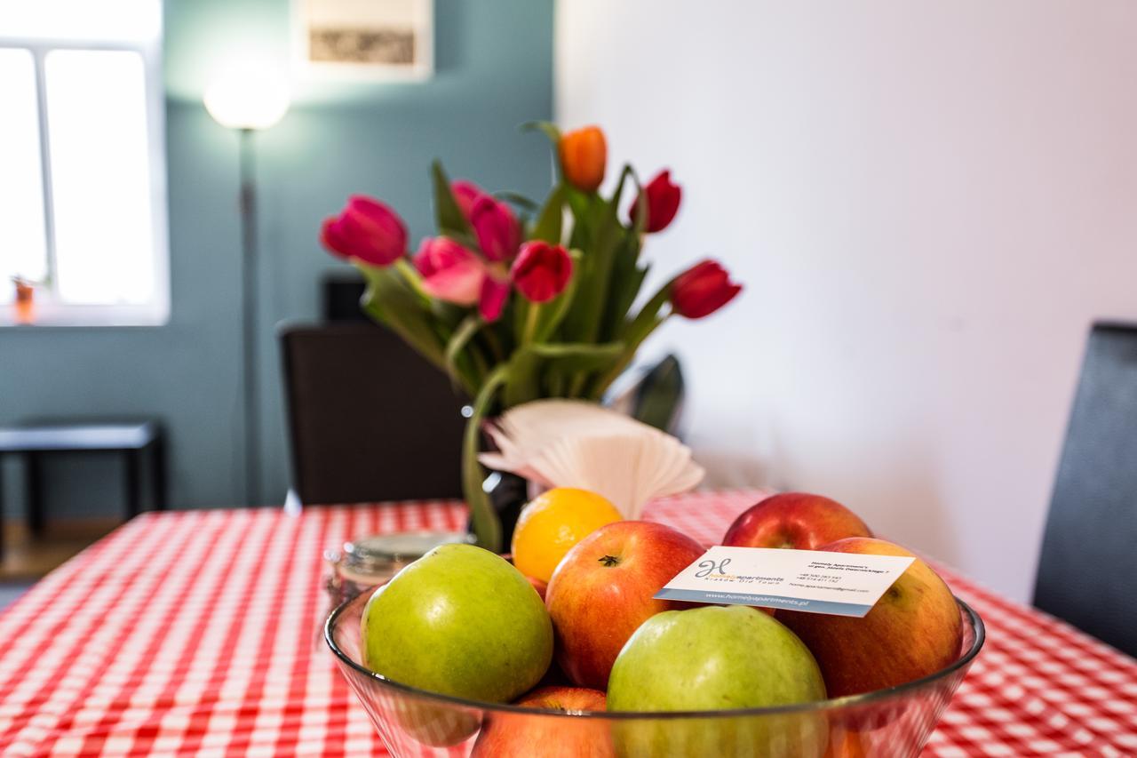 קרקוב Homely Apartment'S Old Town מראה חיצוני תמונה
